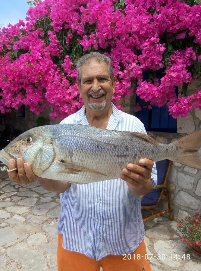 Appartamento Federico